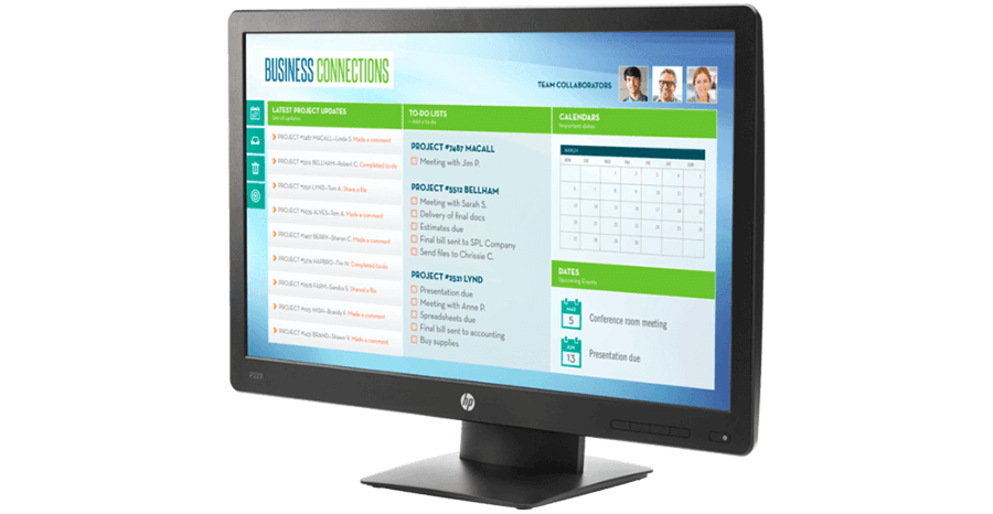 HP PRO DISPLAYS