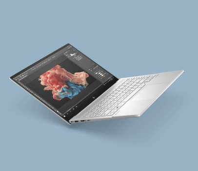 HP Display Control